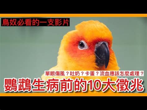 死鳥處理